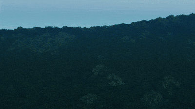 르엘 어퍼하우스 NATURAL ASSET | 자연 자산